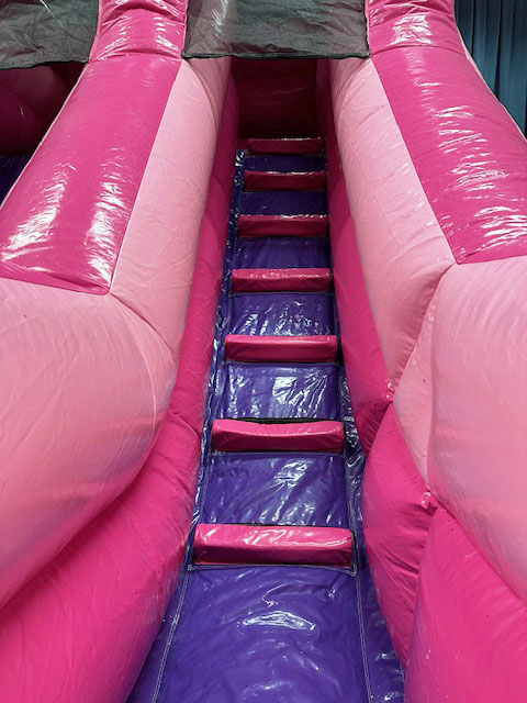 Princess Slide - Image 4