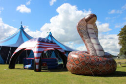 Giant Inflatable Snake