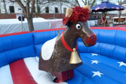 Rodeo Reindeer Christmas Hire