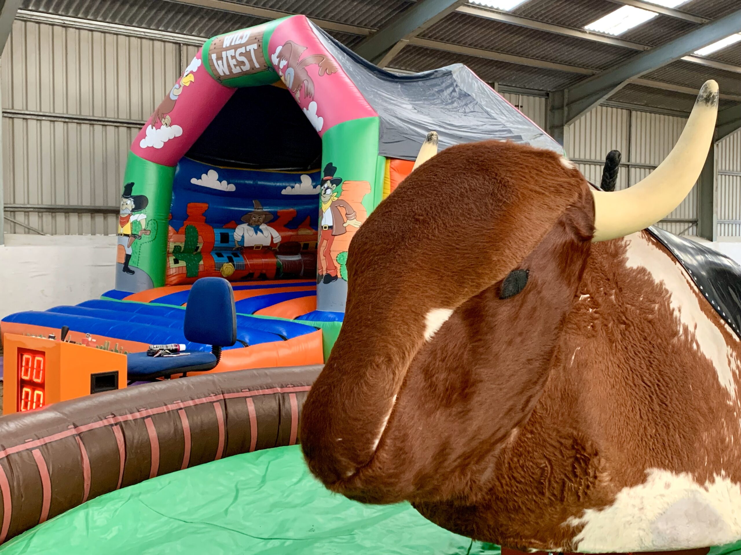Rodeo Bull Hire, Rodeo Bull Hire North Wales, Rodeo Bull Hire Chester