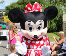 Minnie Mouse Mascot Costume
