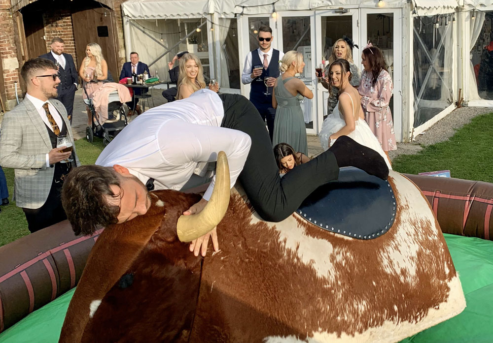 The Rodeo Bull - Image 5