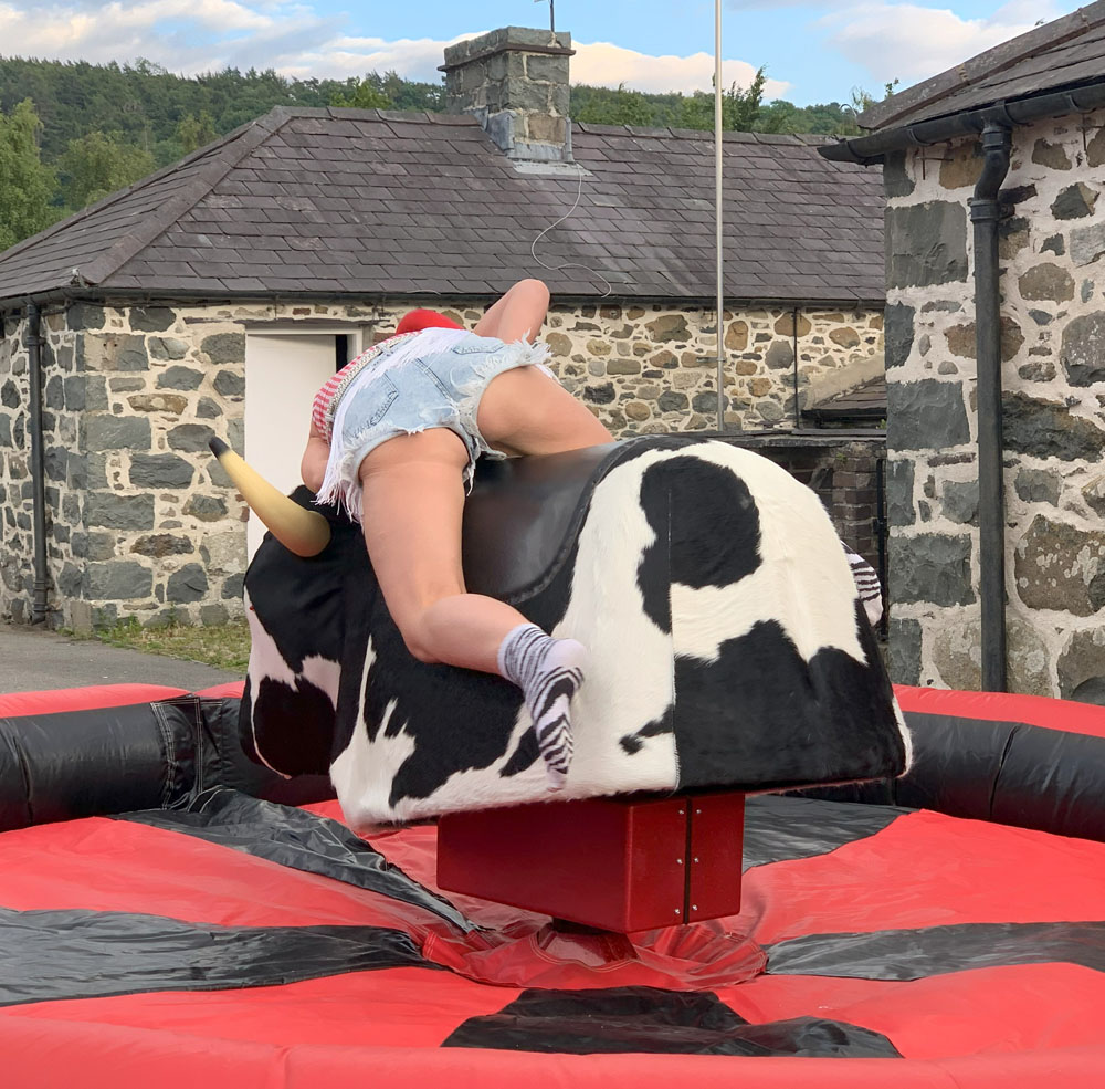 The Rodeo Bull - Image 22