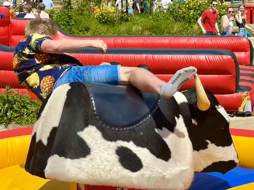 The Rodeo Bull - Image 8