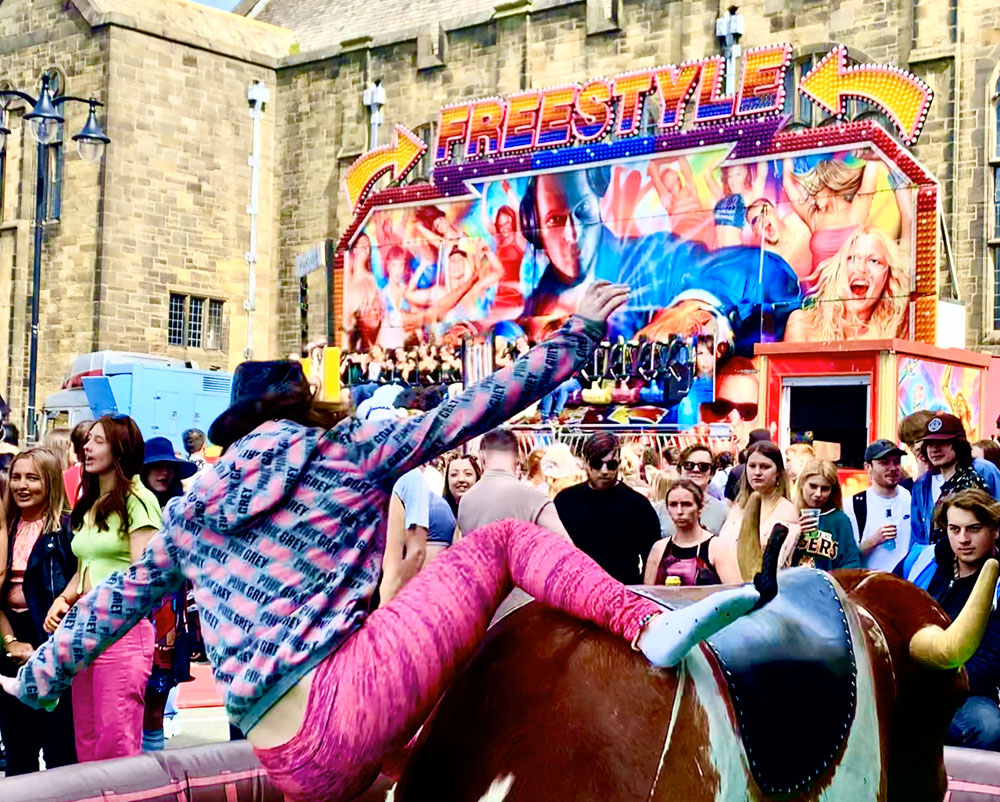 The Rodeo Bull - Image 9