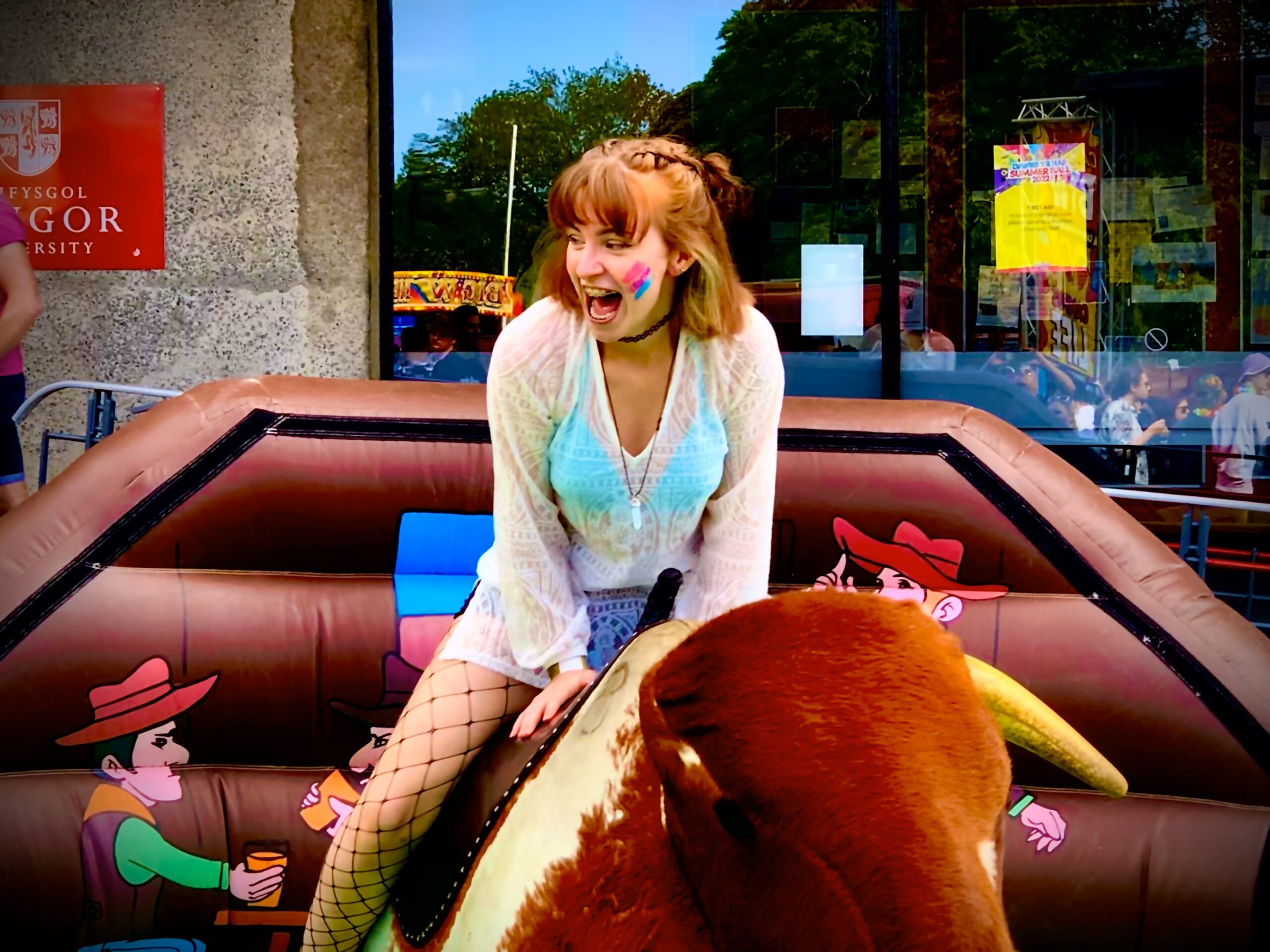 The Rodeo Bull - Image 2