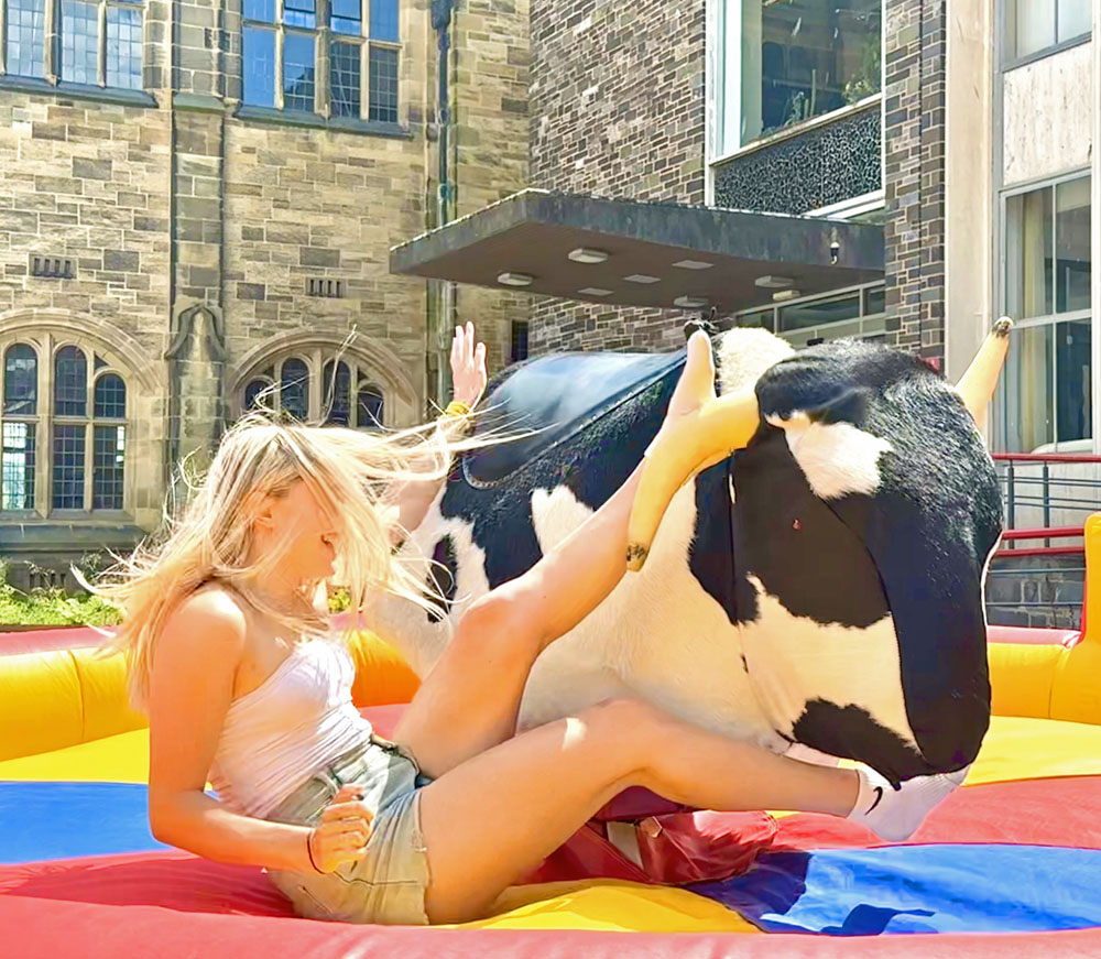 The Rodeo Bull - Image 14