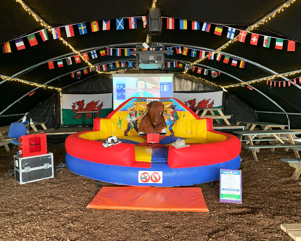 The Rodeo Bull - Image 4