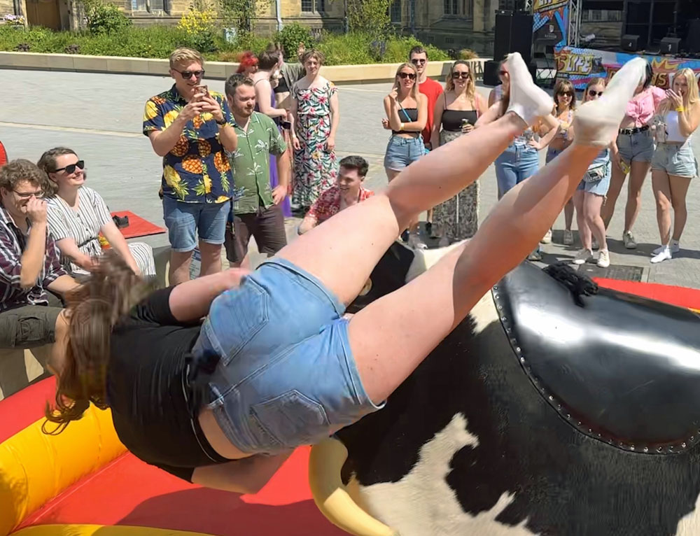 The Rodeo Bull - Image 6