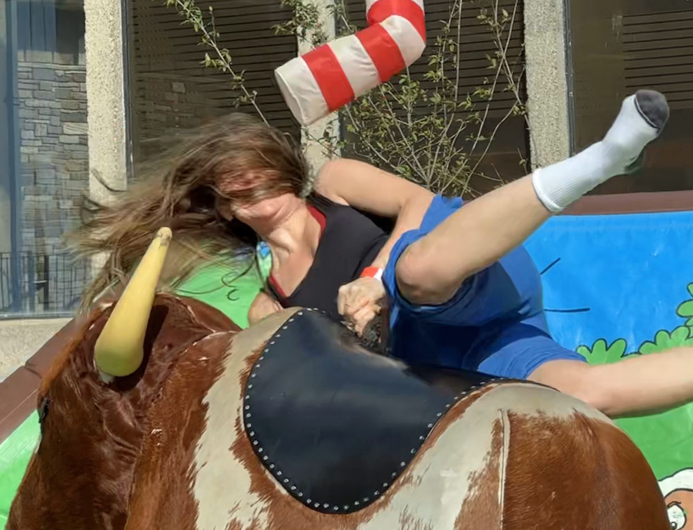 The Rodeo Bull - Image 18