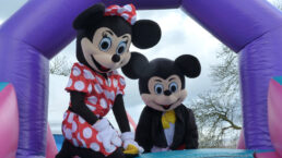 Anglesey Mouse